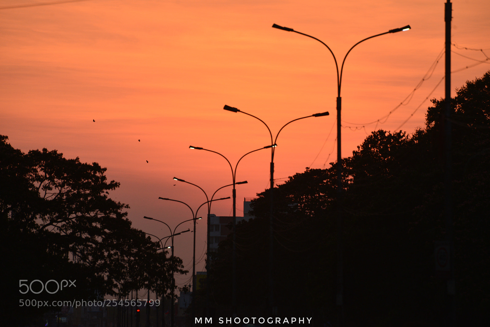 Nikon D610 sample photo. Red sky photography