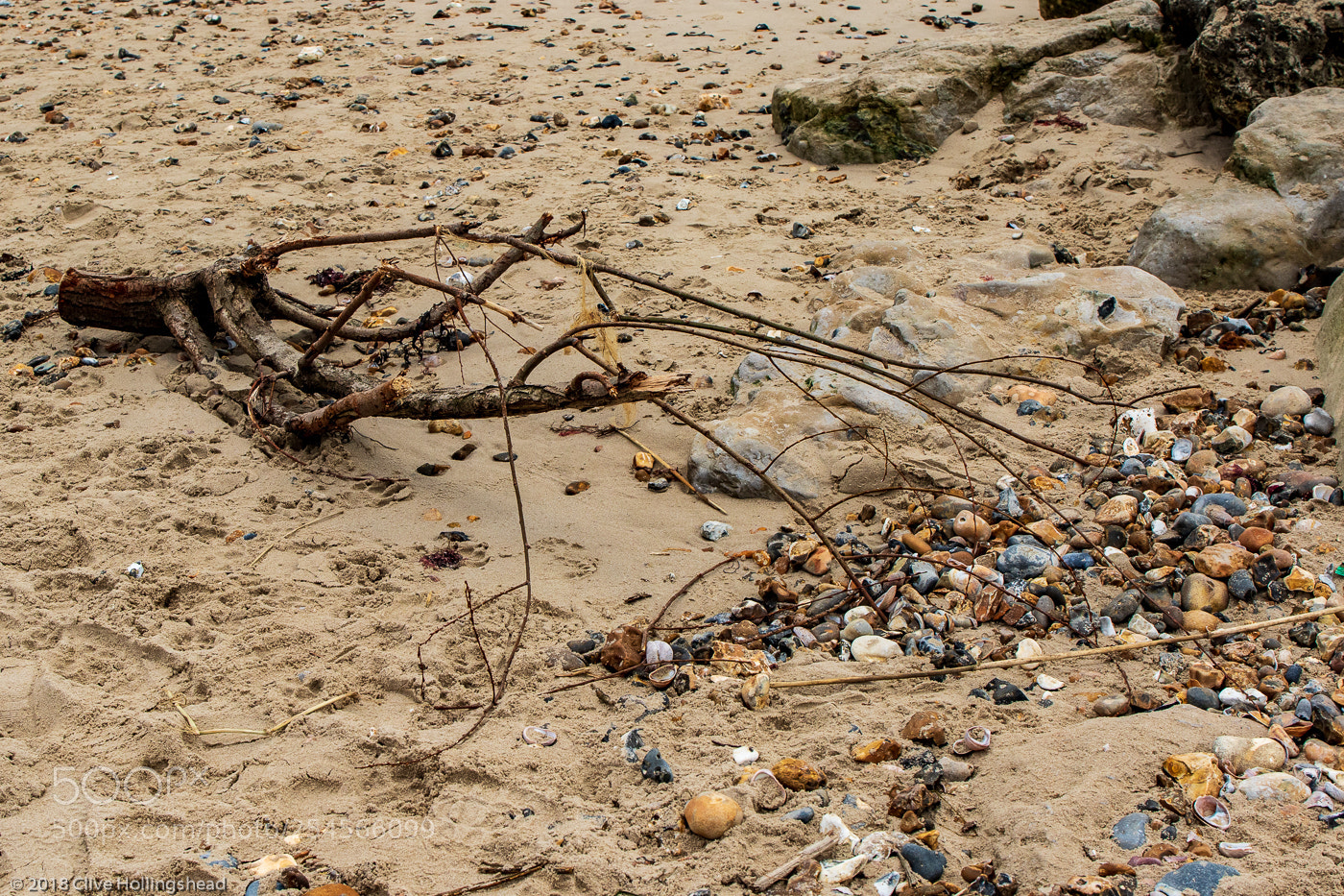 Canon EOS 7D Mark II sample photo. Beach detritus photography