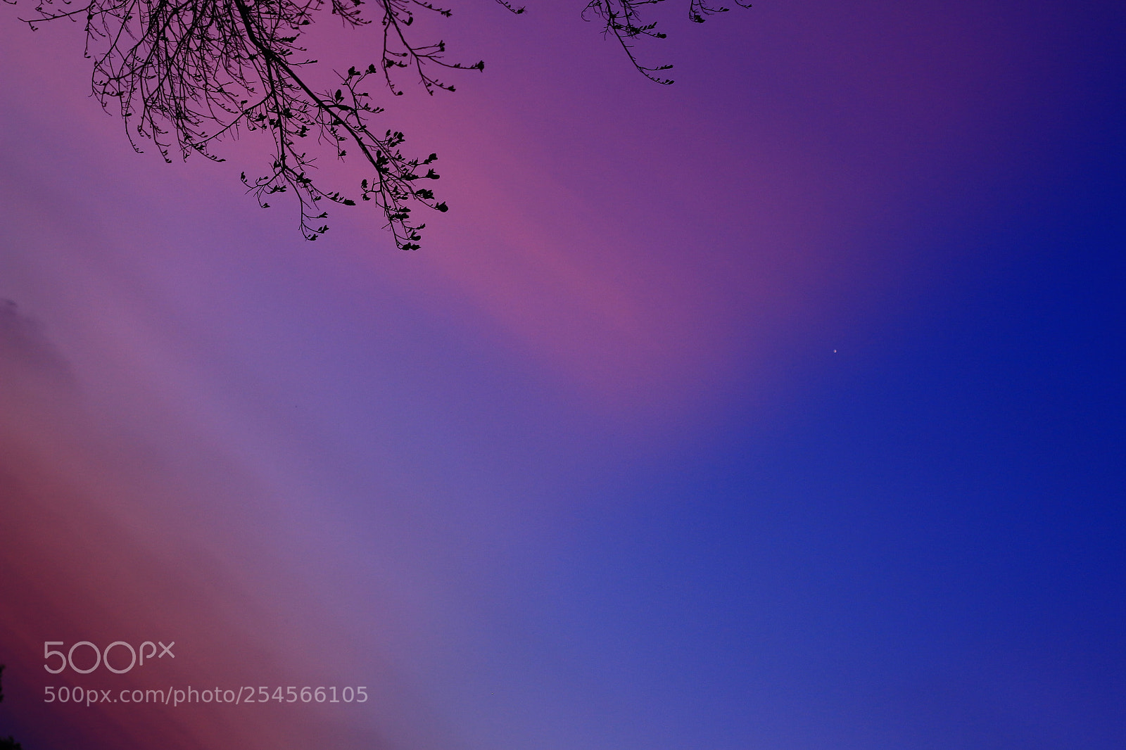 Canon EOS 700D (EOS Rebel T5i / EOS Kiss X7i) + Canon EF 50mm F1.8 STM sample photo. Sunset photography
