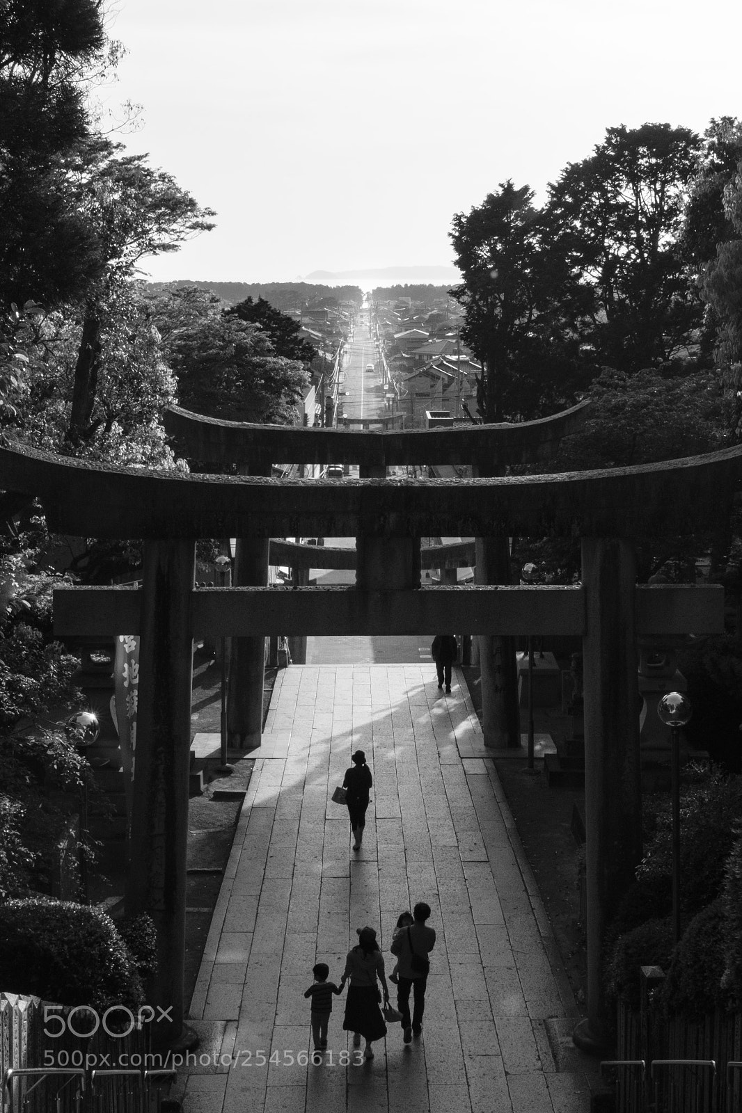 Fujifilm X-H1 sample photo. Straight photography