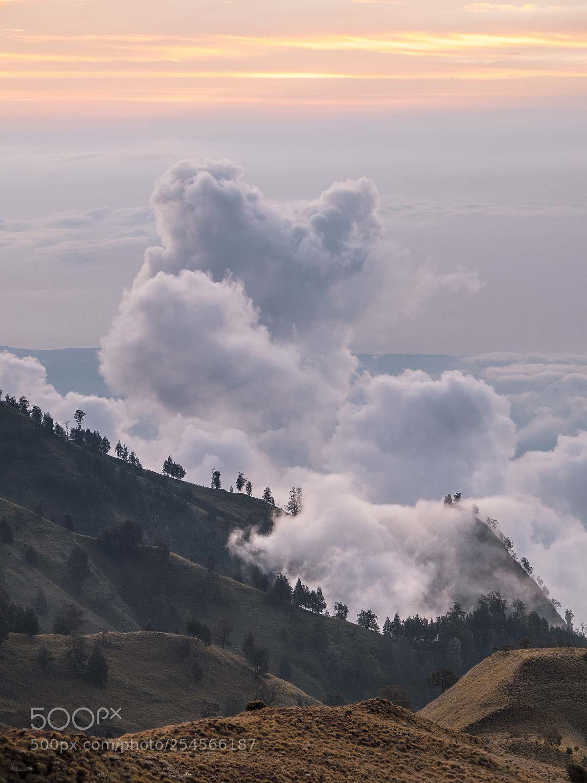 Fujifilm X-T2 sample photo. Indonesia photography