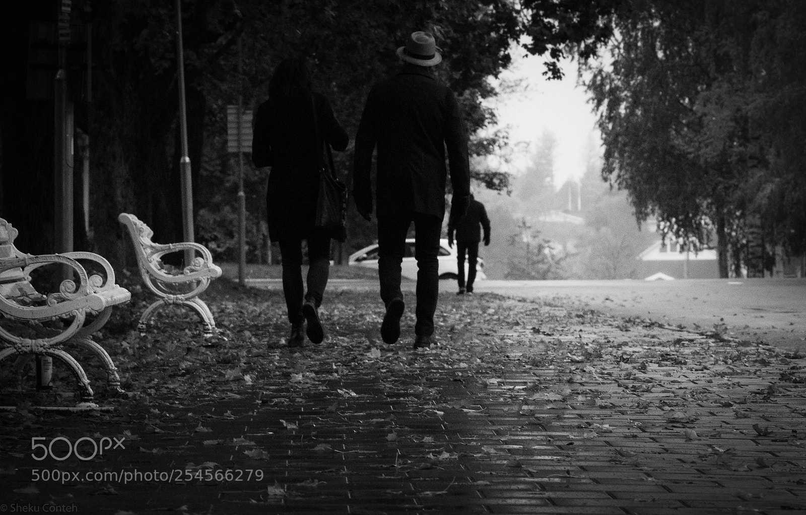 Canon EOS 750D (EOS Rebel T6i / EOS Kiss X8i) sample photo. Autumn walk  photography