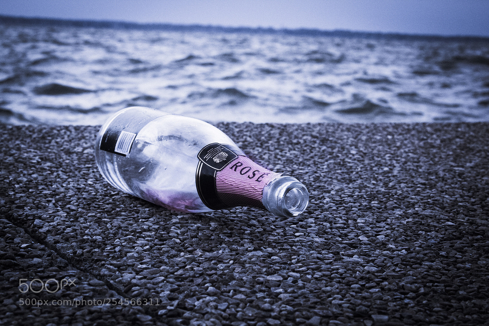 Canon EOS 600D (Rebel EOS T3i / EOS Kiss X5) sample photo. Remnants of a romantic photography