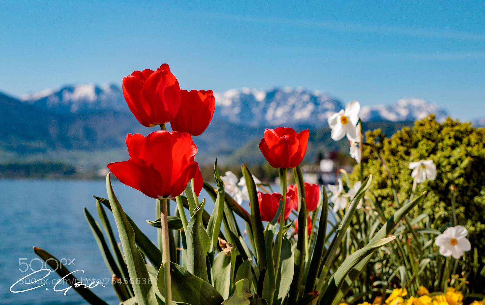 Canon EOS 77D (EOS 9000D / EOS 770D) sample photo. Sunny day out in photography