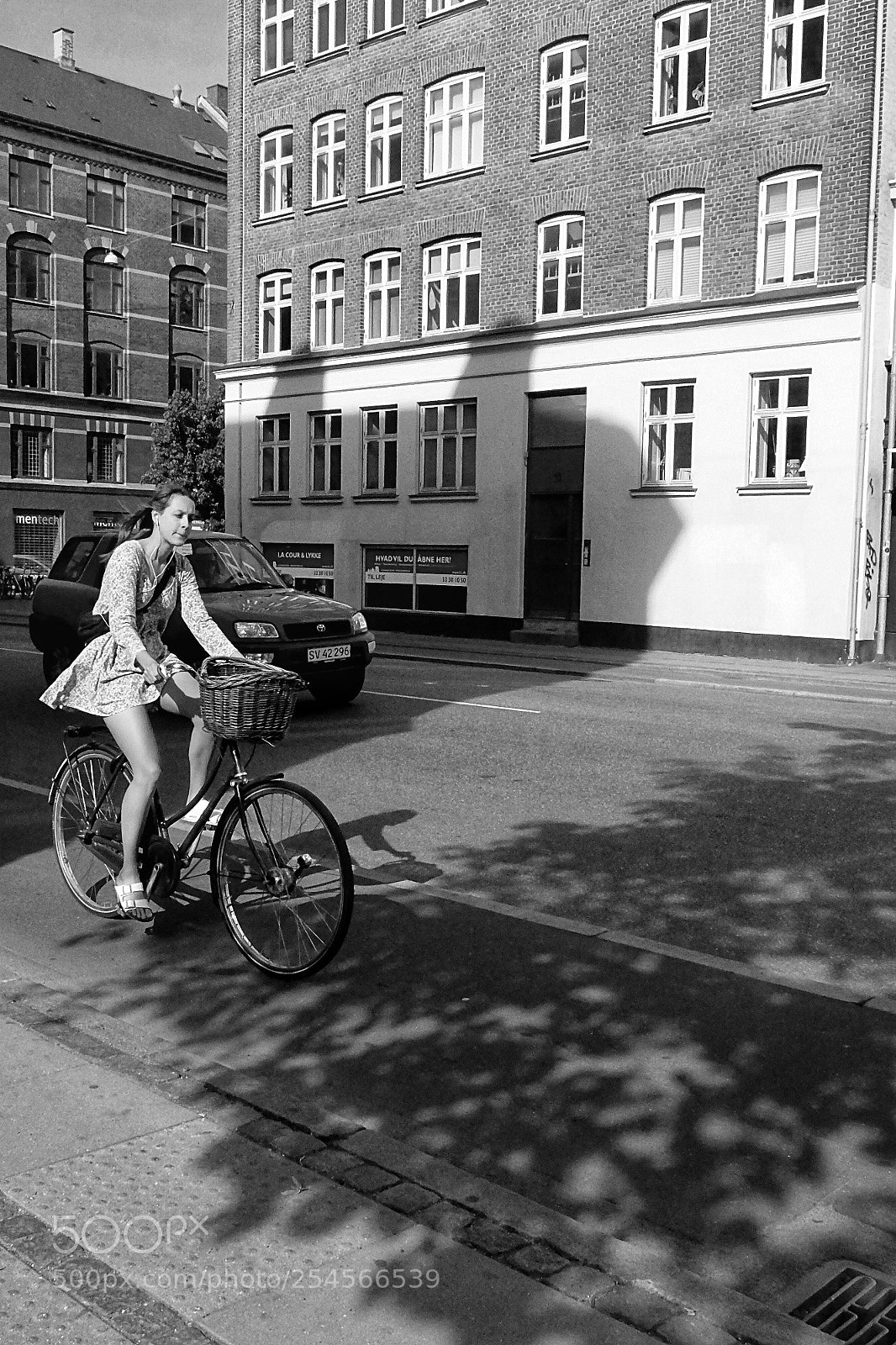 Fujifilm X20 sample photo. Untitled photography