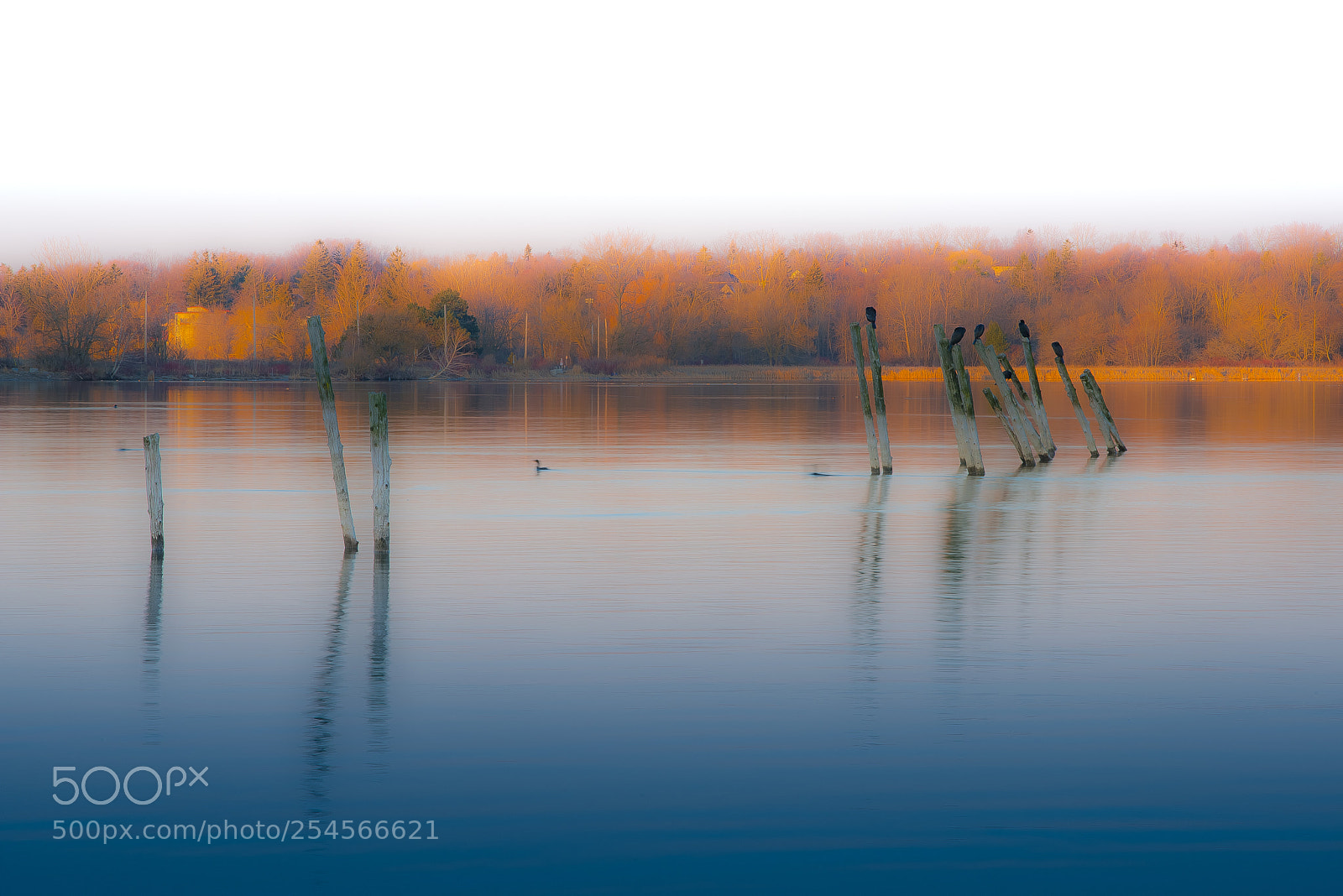 Nikon D800 sample photo. Morning haze photography