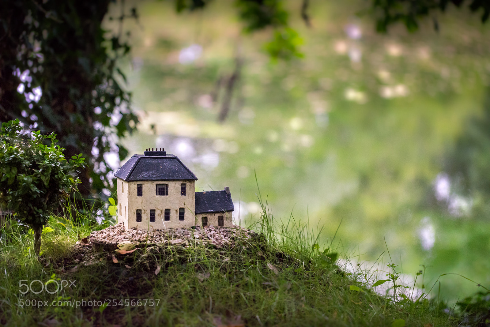 Sony a7R sample photo. Queen mab's cottage photography