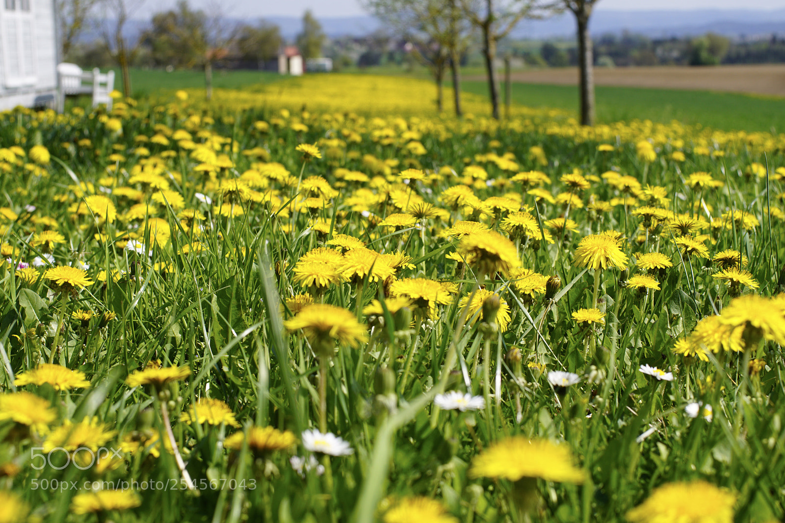 Sony ILCA-77M2 sample photo. Untitled photography