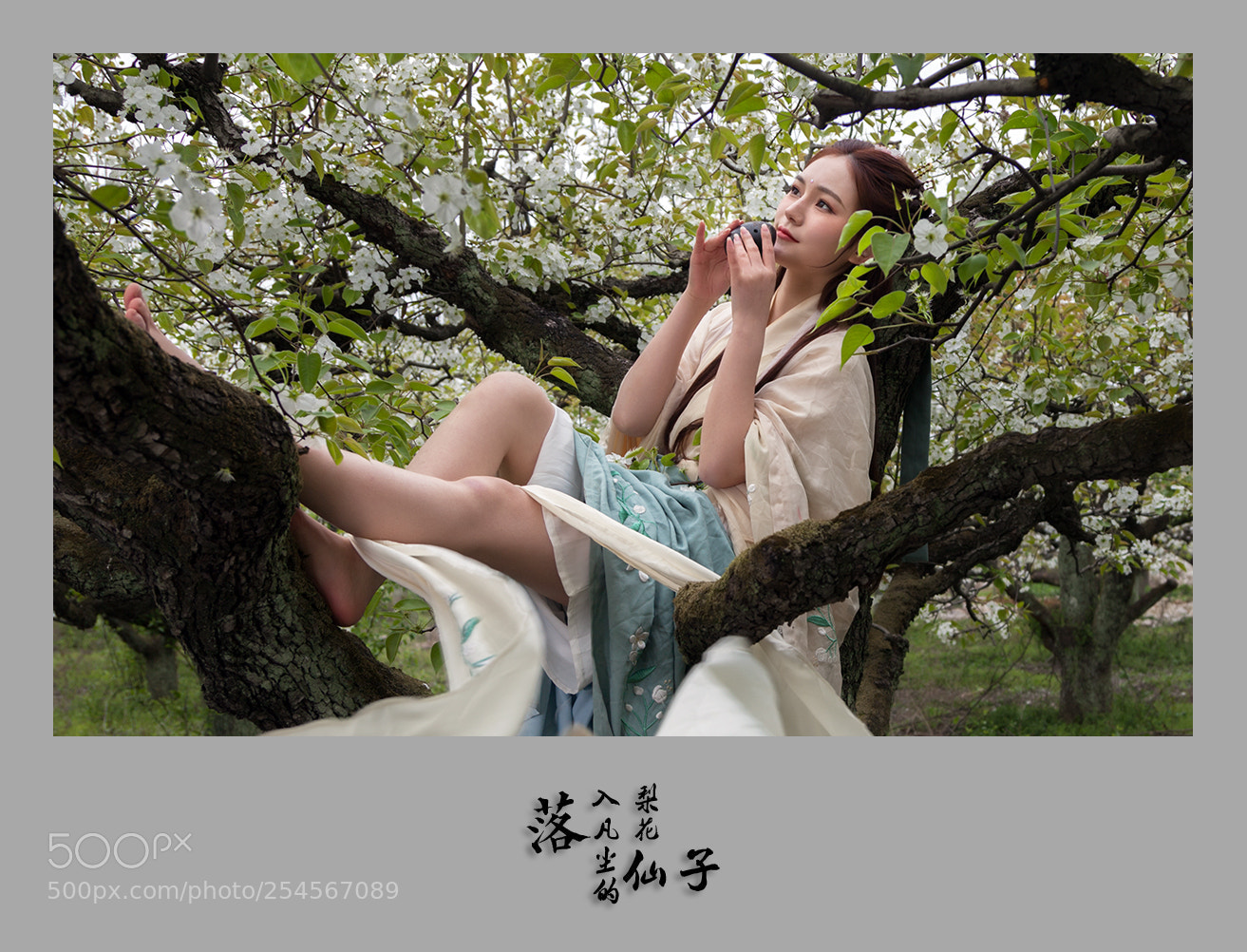 Canon EOS 5D Mark II sample photo. Untitled photography