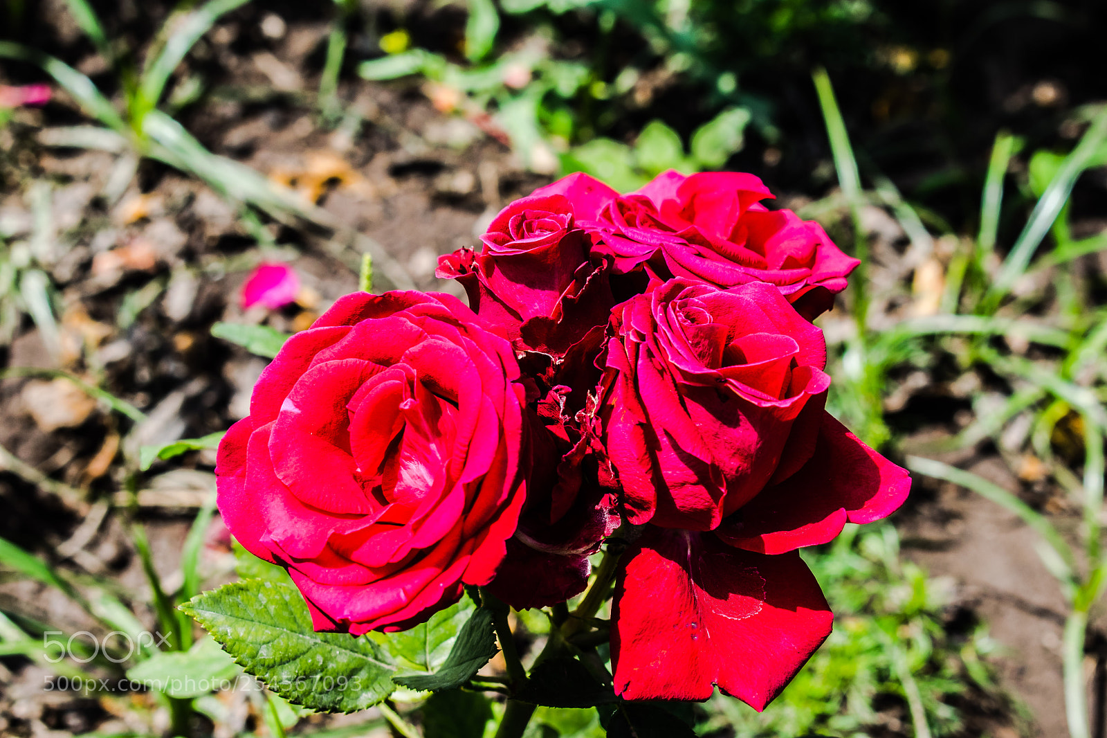 Nikon D5300 sample photo. Psx_20180328_195825.jpg photography