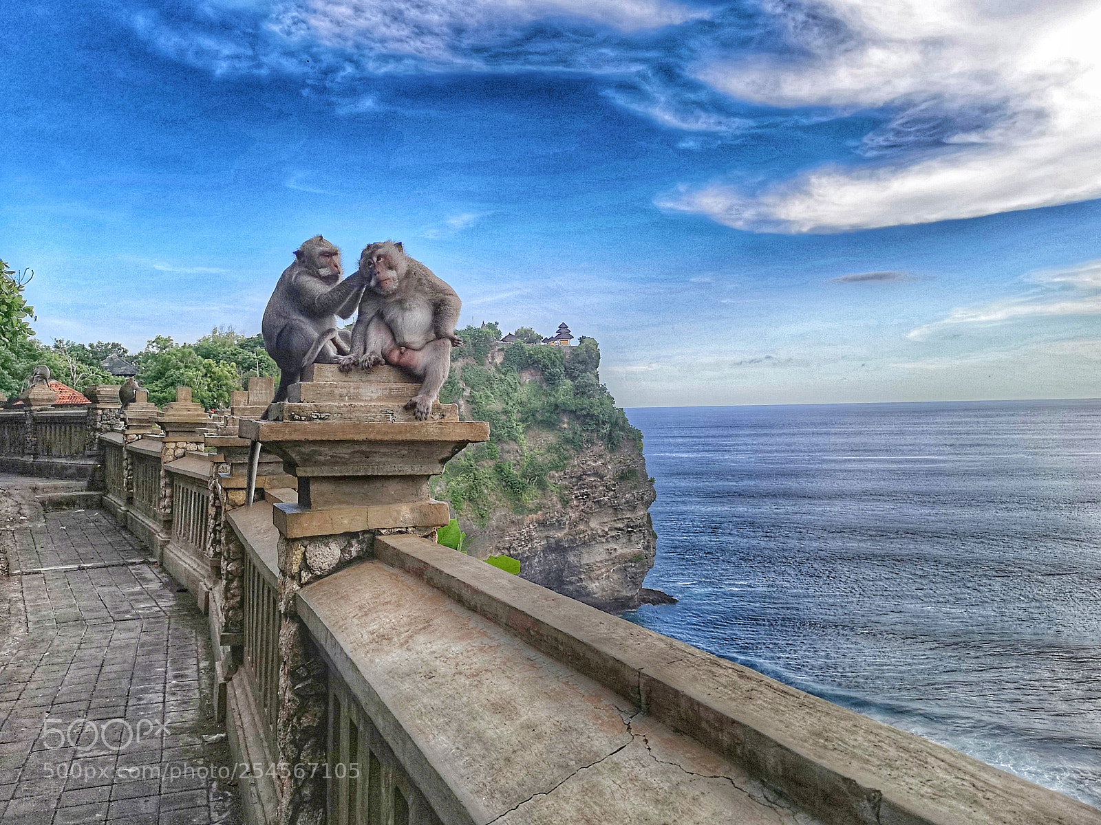HUAWEI CLT-L29 sample photo. Monkey at uluwatu temple photography