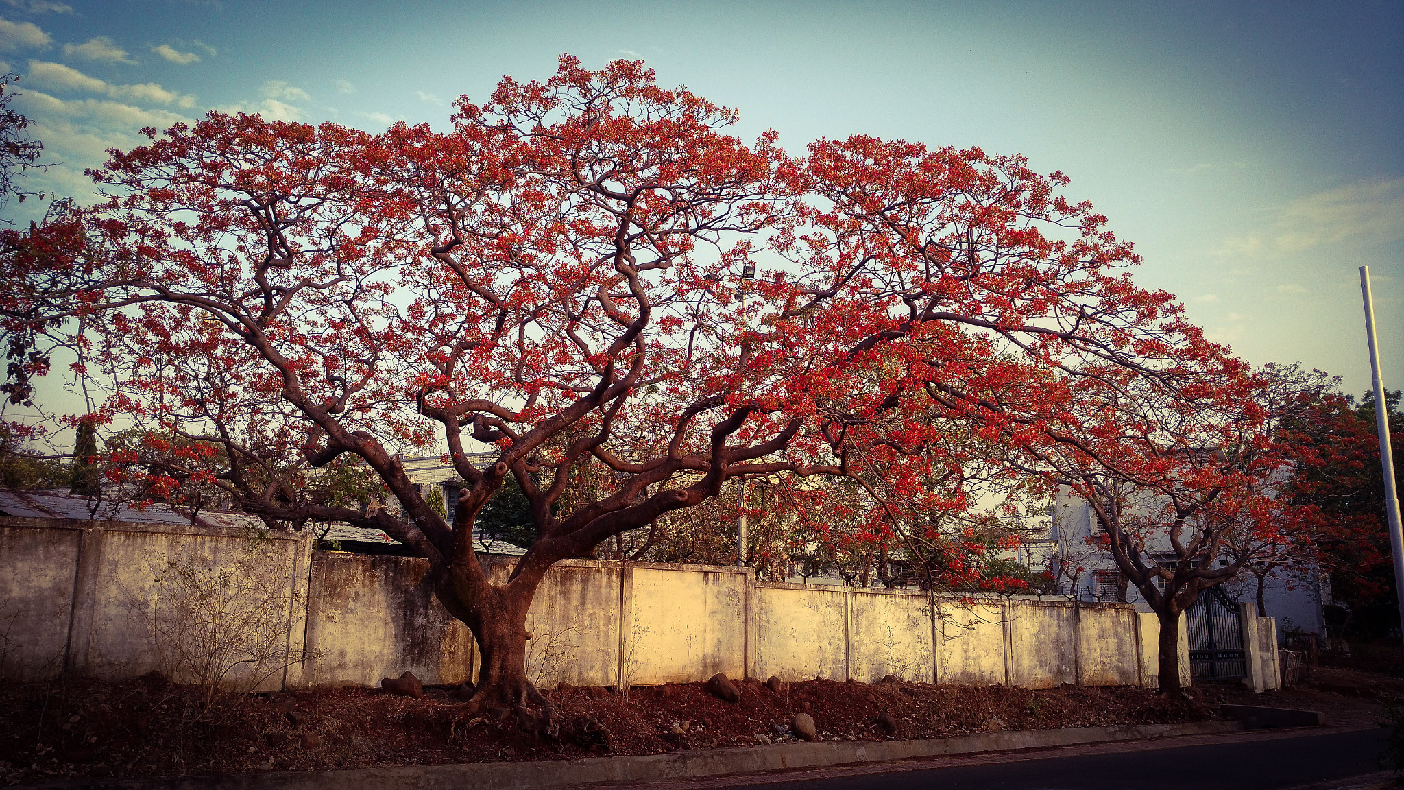 Motorola Moto X Play sample photo