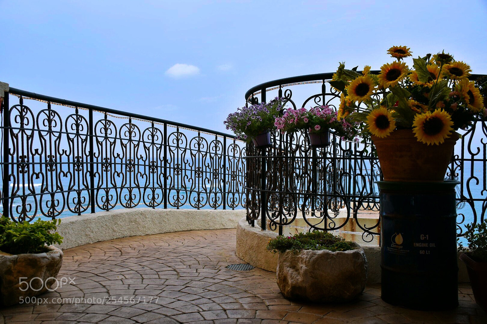 Nikon D5500 sample photo. Blue nkinawa photography