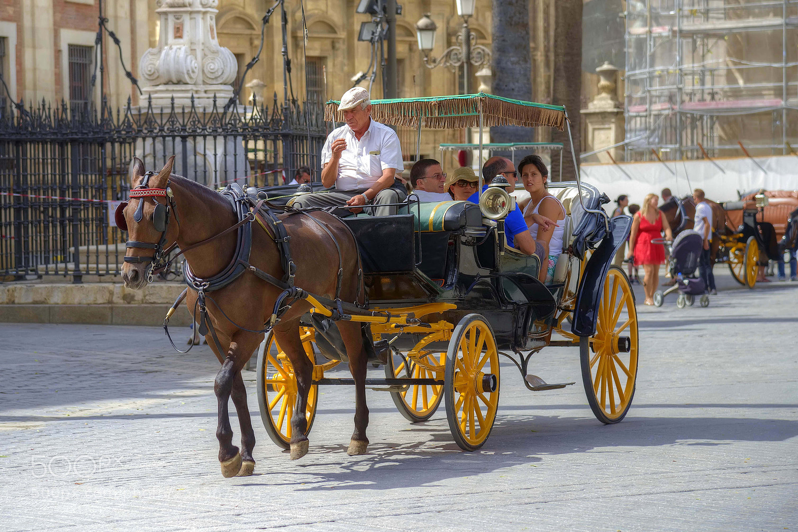 Nikon D600 sample photo. Coche de caballos photography