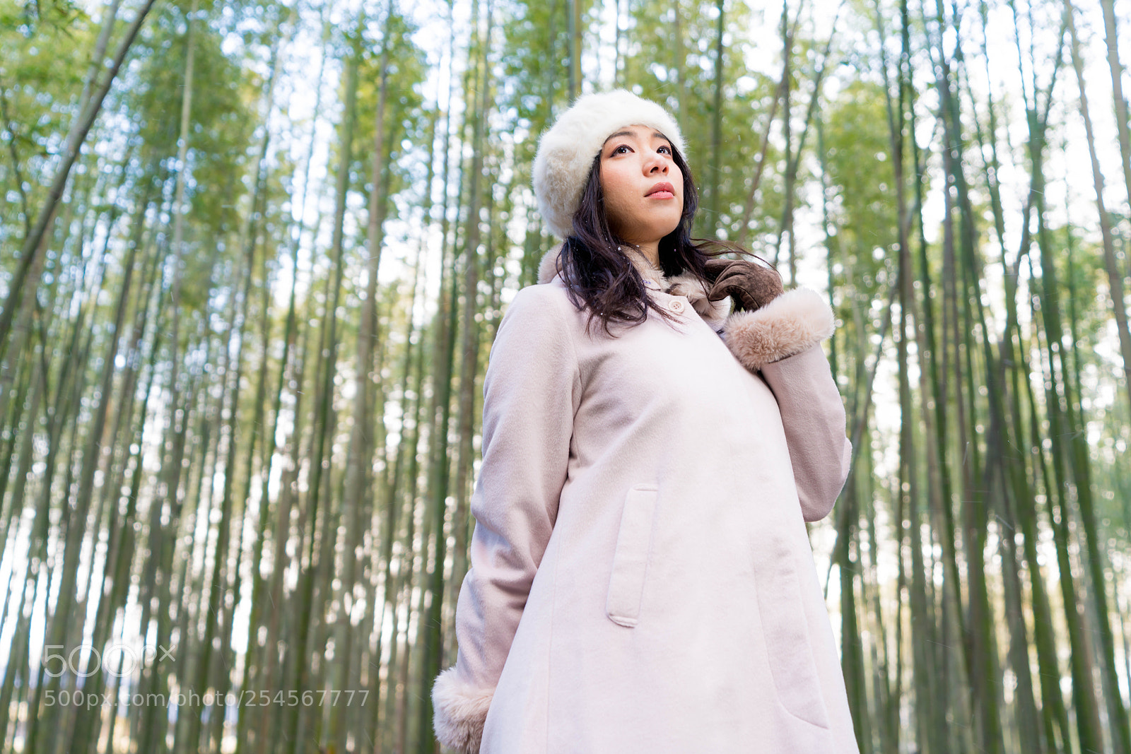 Sony a7R III sample photo. 嵐山 photography