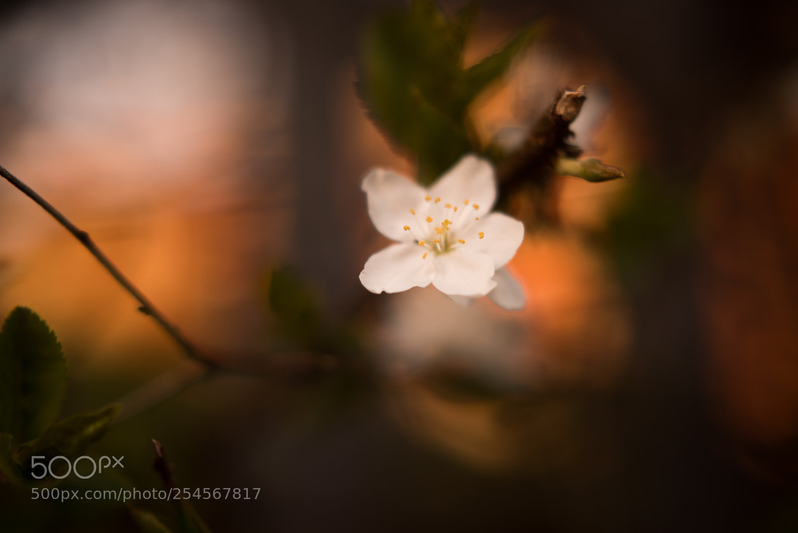 Nikon D800 sample photo. New beginning photography