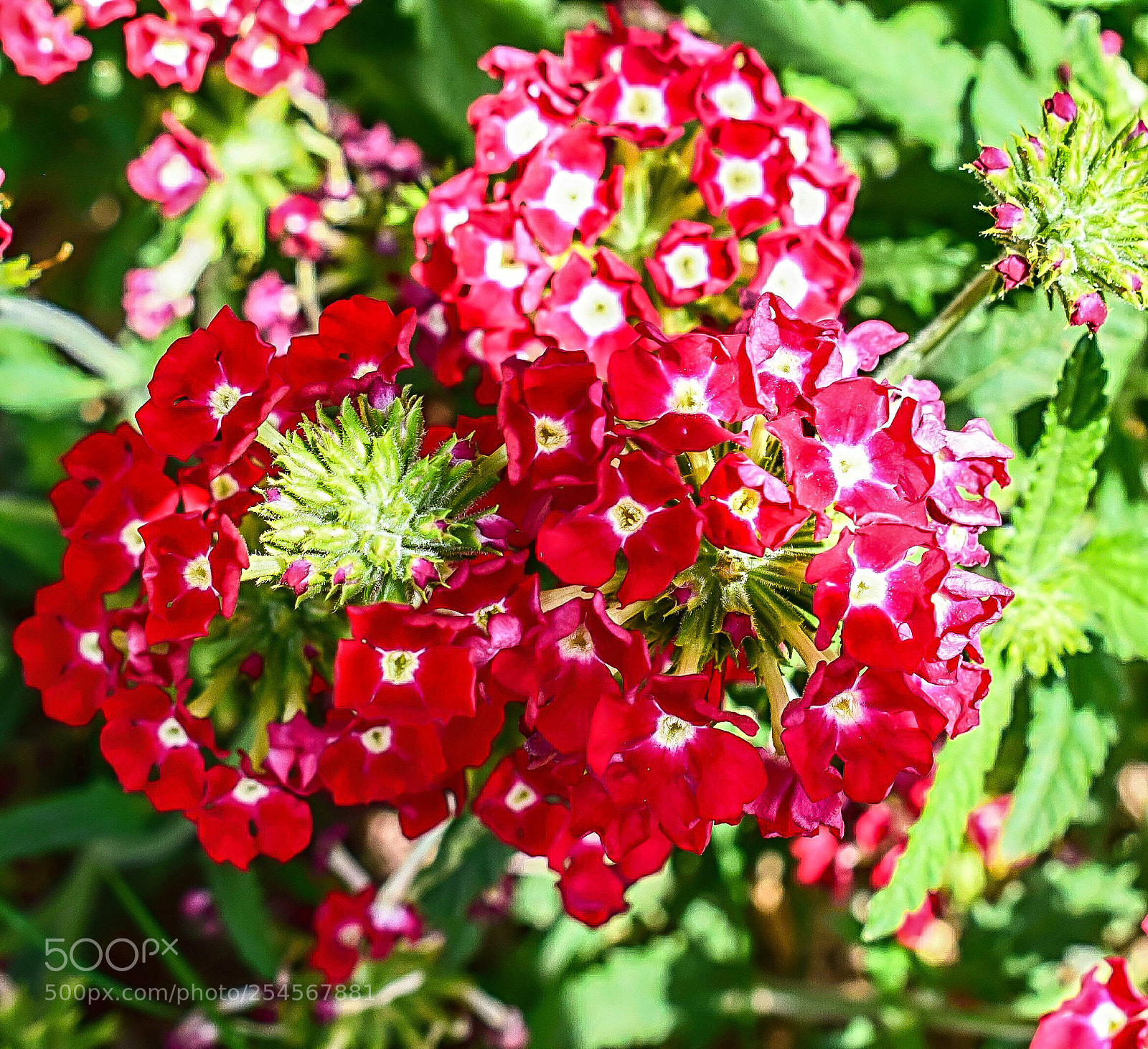Nikon D5300 sample photo. Psx_20180328_193138.jpg photography