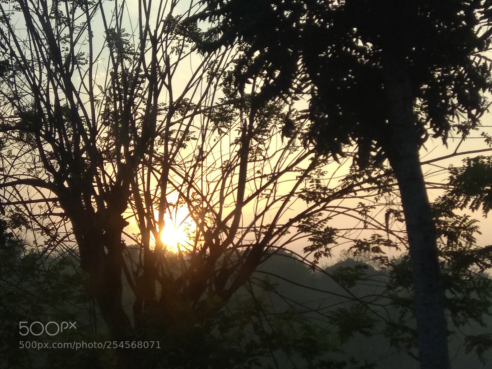 Xiaomi Redmi Note 4 sample photo. Most favorite thing to photography