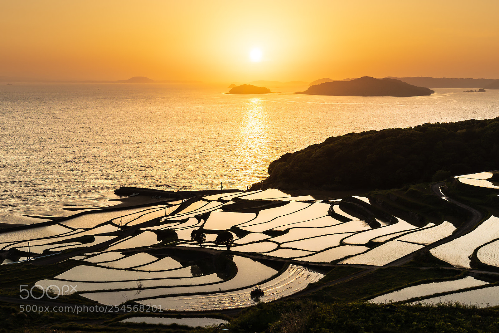 Canon EOS 5D Mark IV sample photo. Sunset of rice terraces photography