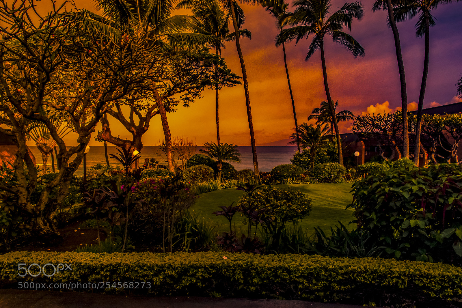 Nikon D5200 sample photo. Island eve photography