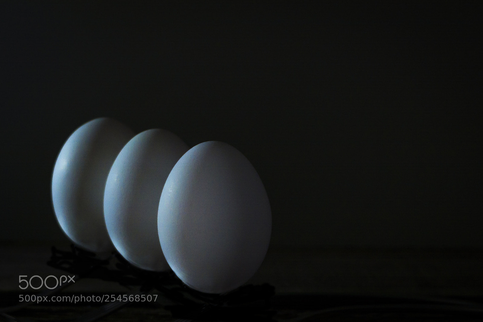 Nikon D5200 sample photo. Three of a kind photography