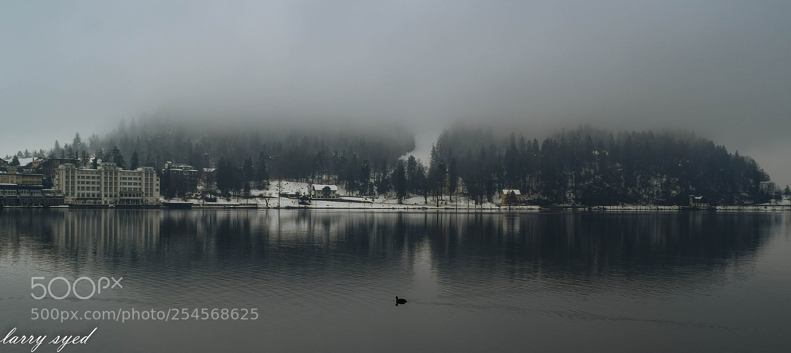 Nikon D3300 sample photo. Bled slovenia photography