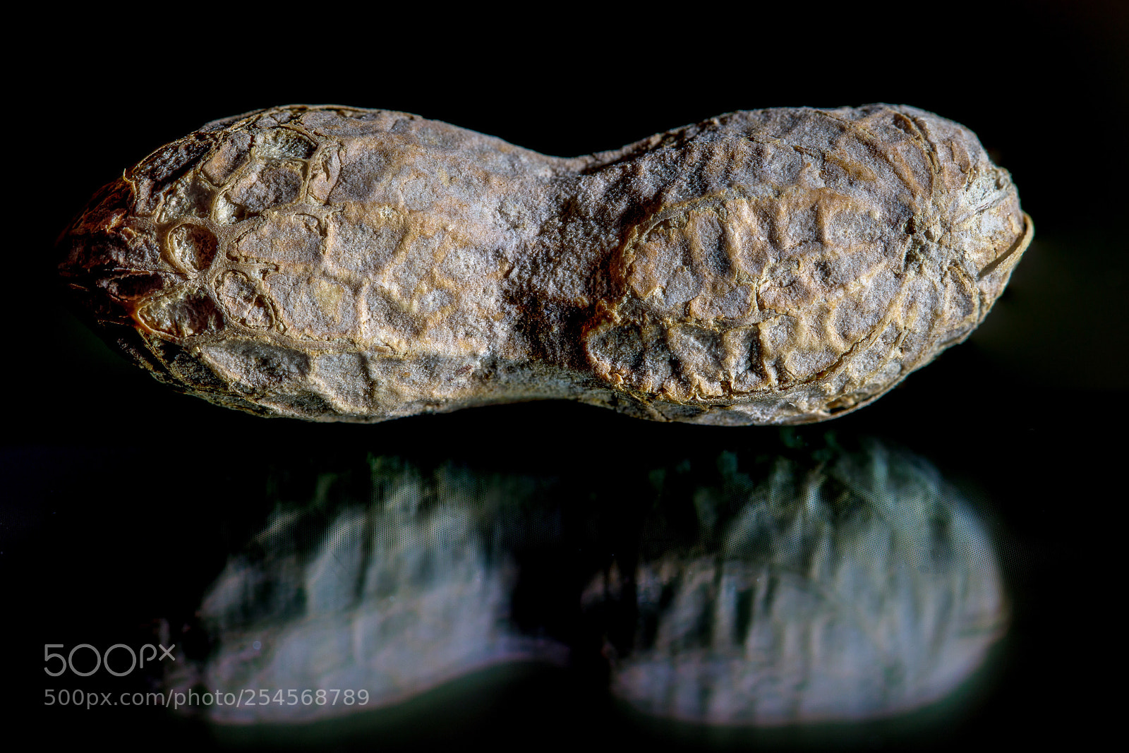 Canon EOS 5D Mark IV sample photo. Peanut in shell  photography