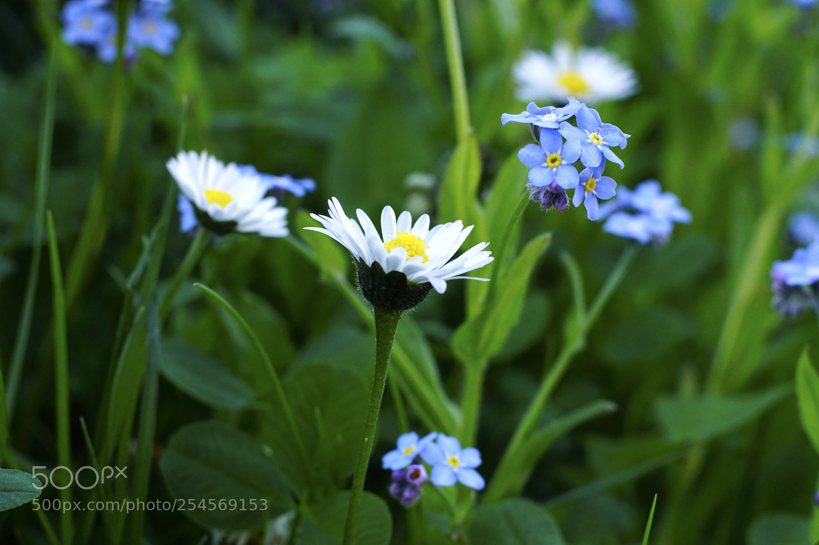 Sony ILCA-77M2 sample photo. Untitled photography