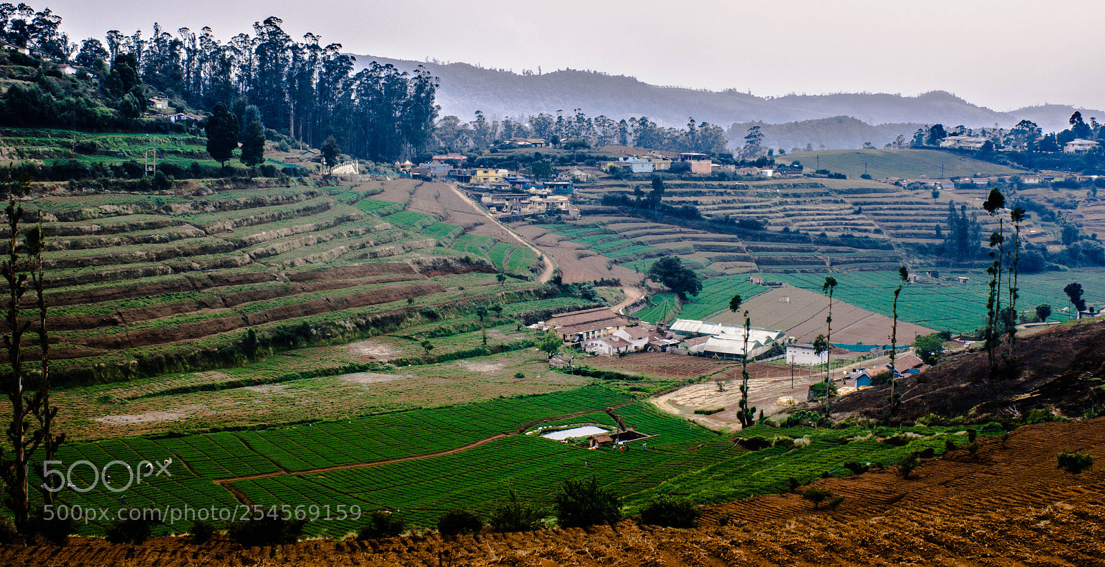 Canon EOS 700D (EOS Rebel T5i / EOS Kiss X7i) sample photo. My travel  photography photography