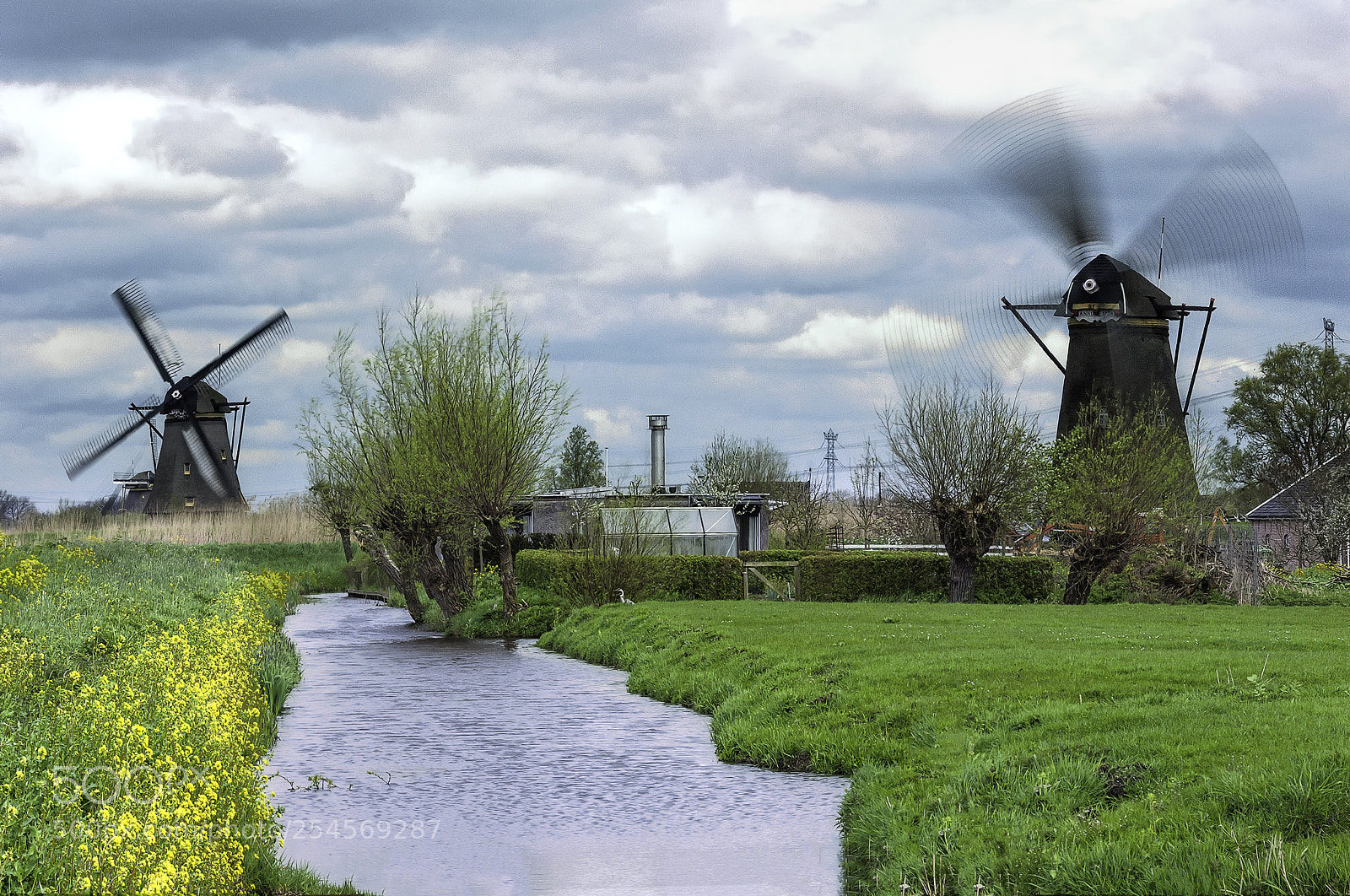 Nikon D90 sample photo. Spring and wind photography