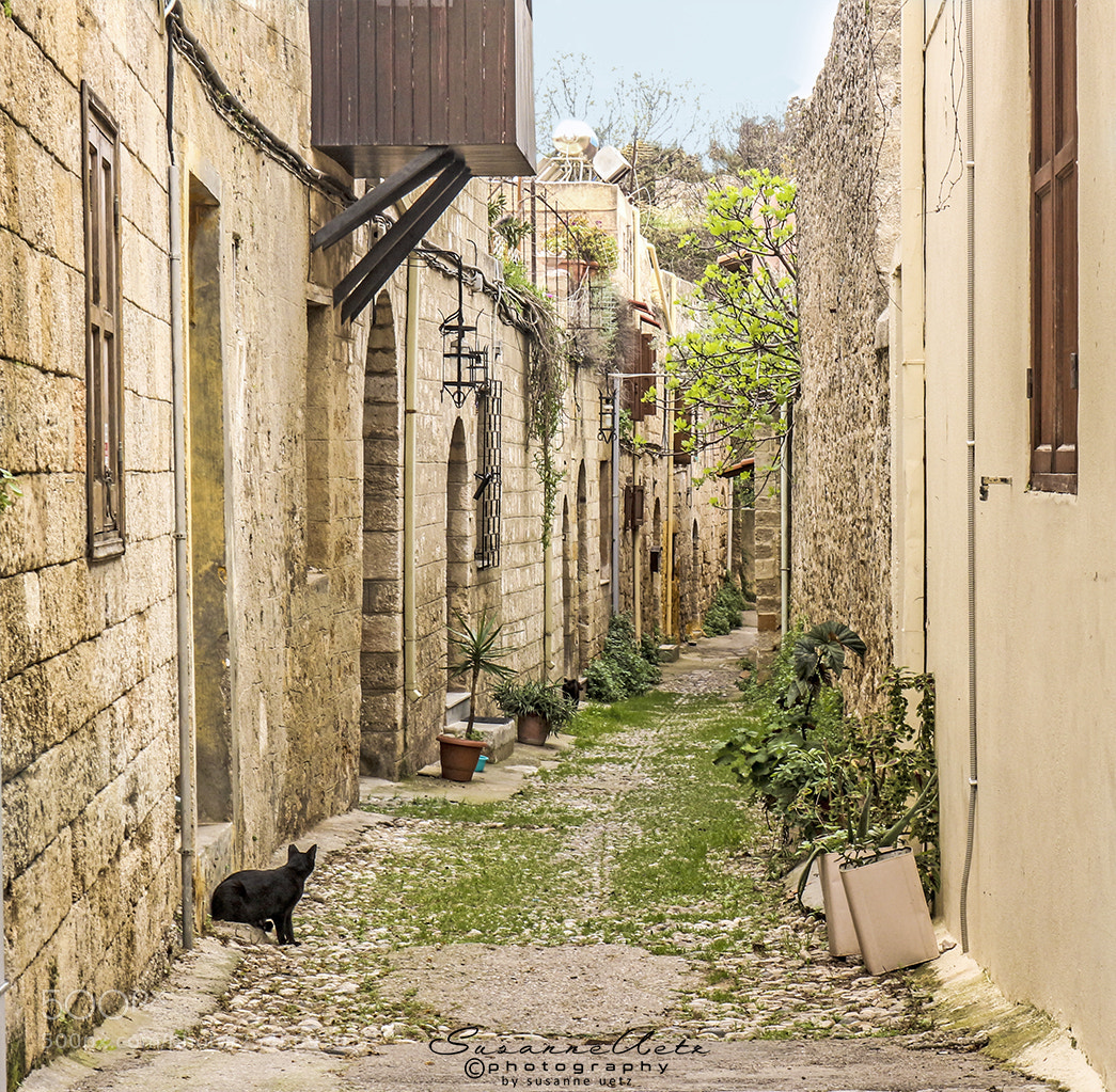 Canon EOS M10 sample photo. Traditional street on a photography