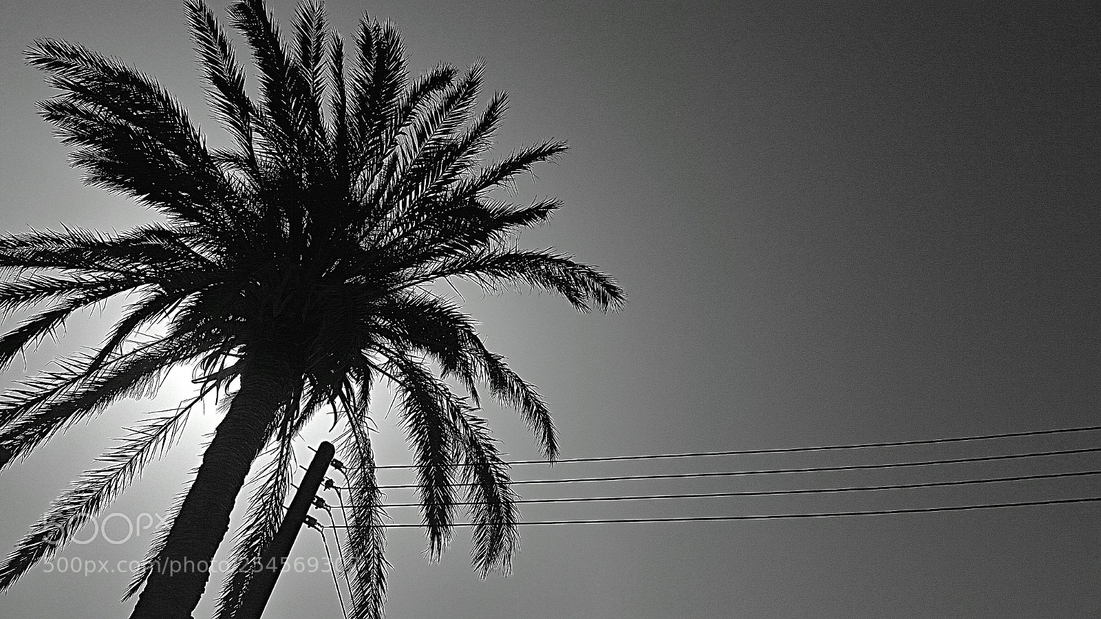 Samsung Galaxy S5 sample photo. 2142018 photography