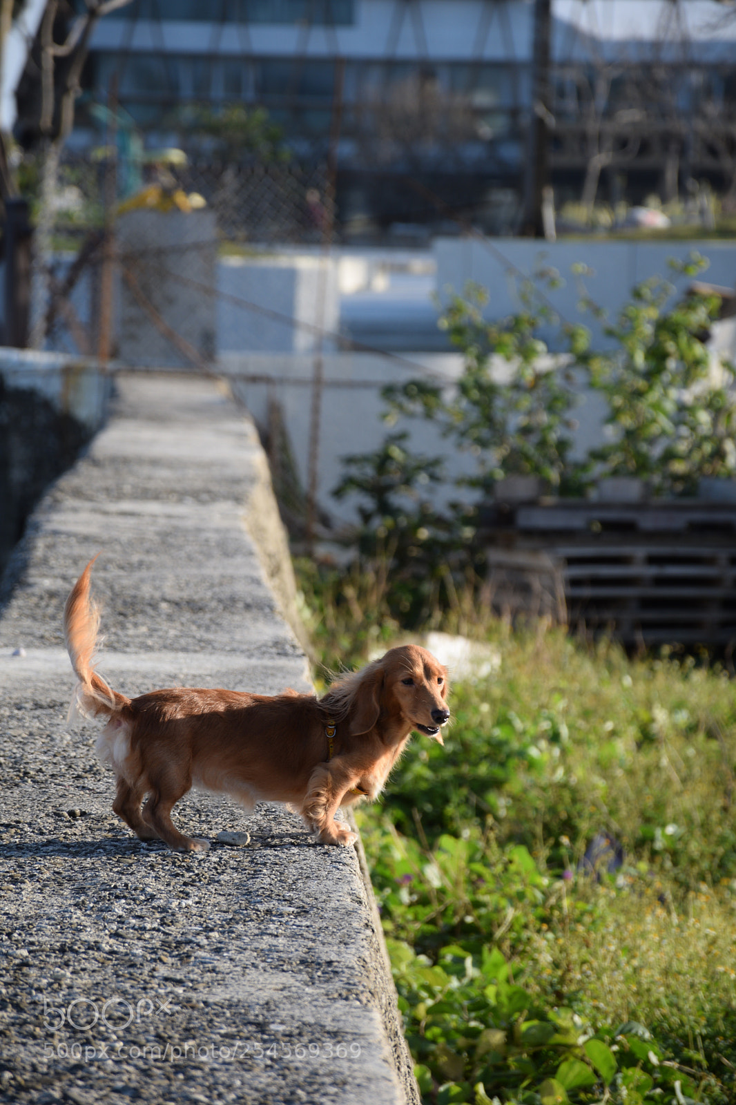 Nikon D5300 sample photo. Hello what are you photography