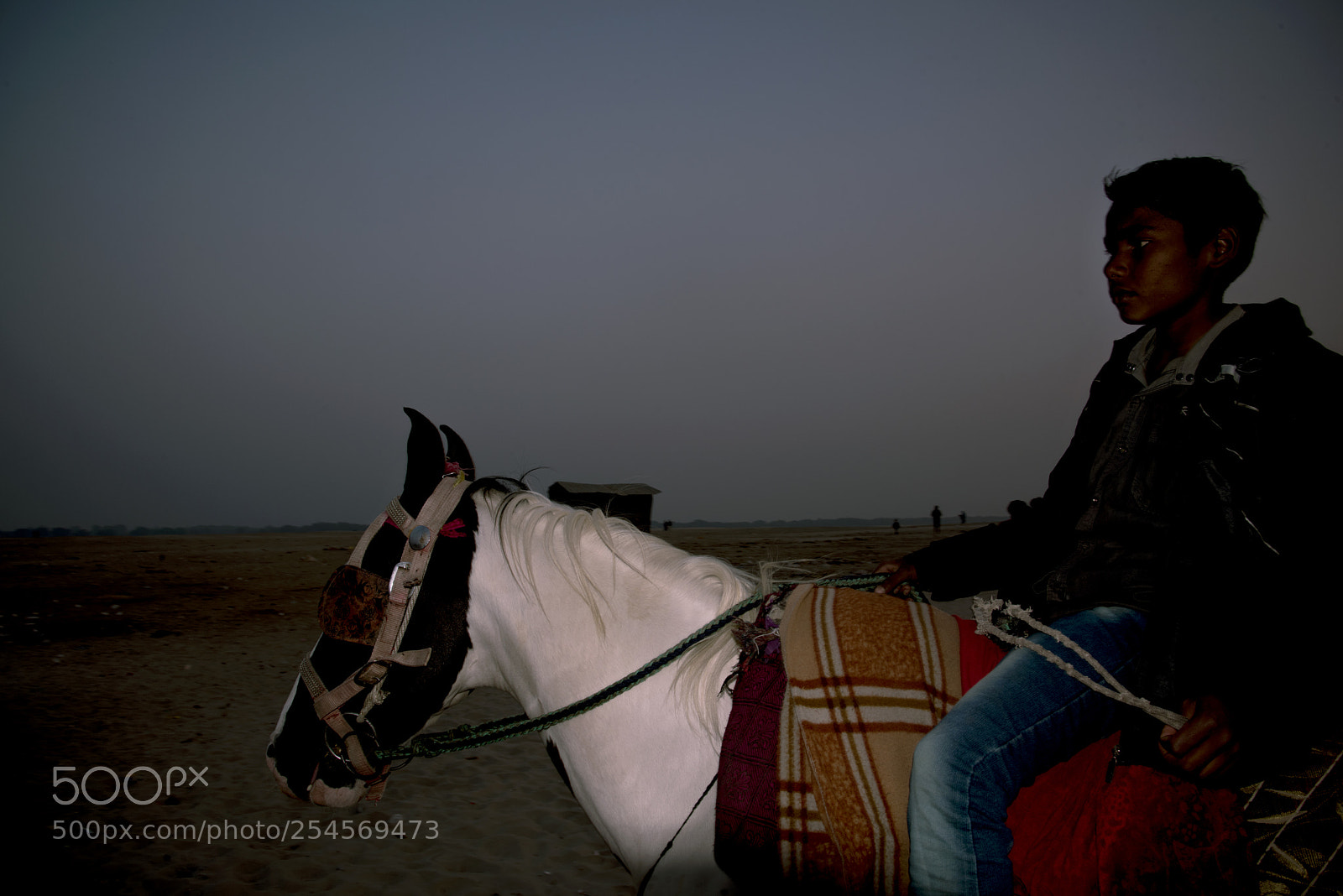 Nikon D810 sample photo. Rider and a horse photography