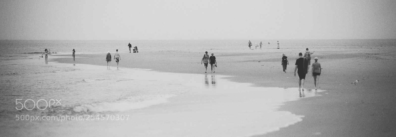 Nikon D700 sample photo. Panoramic walking... photography