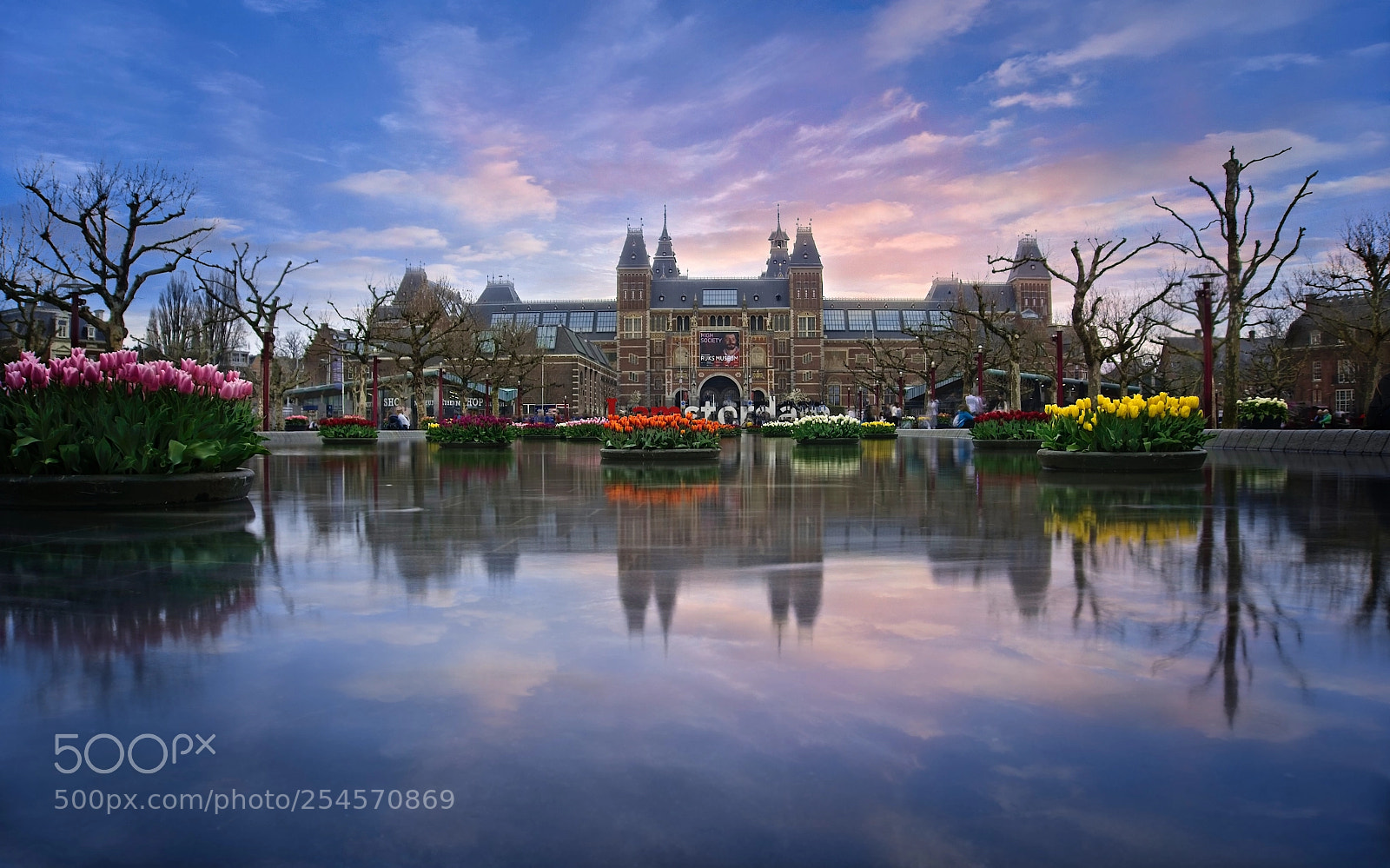 Sony a6000 sample photo. Rijksmuseum - flowers photography