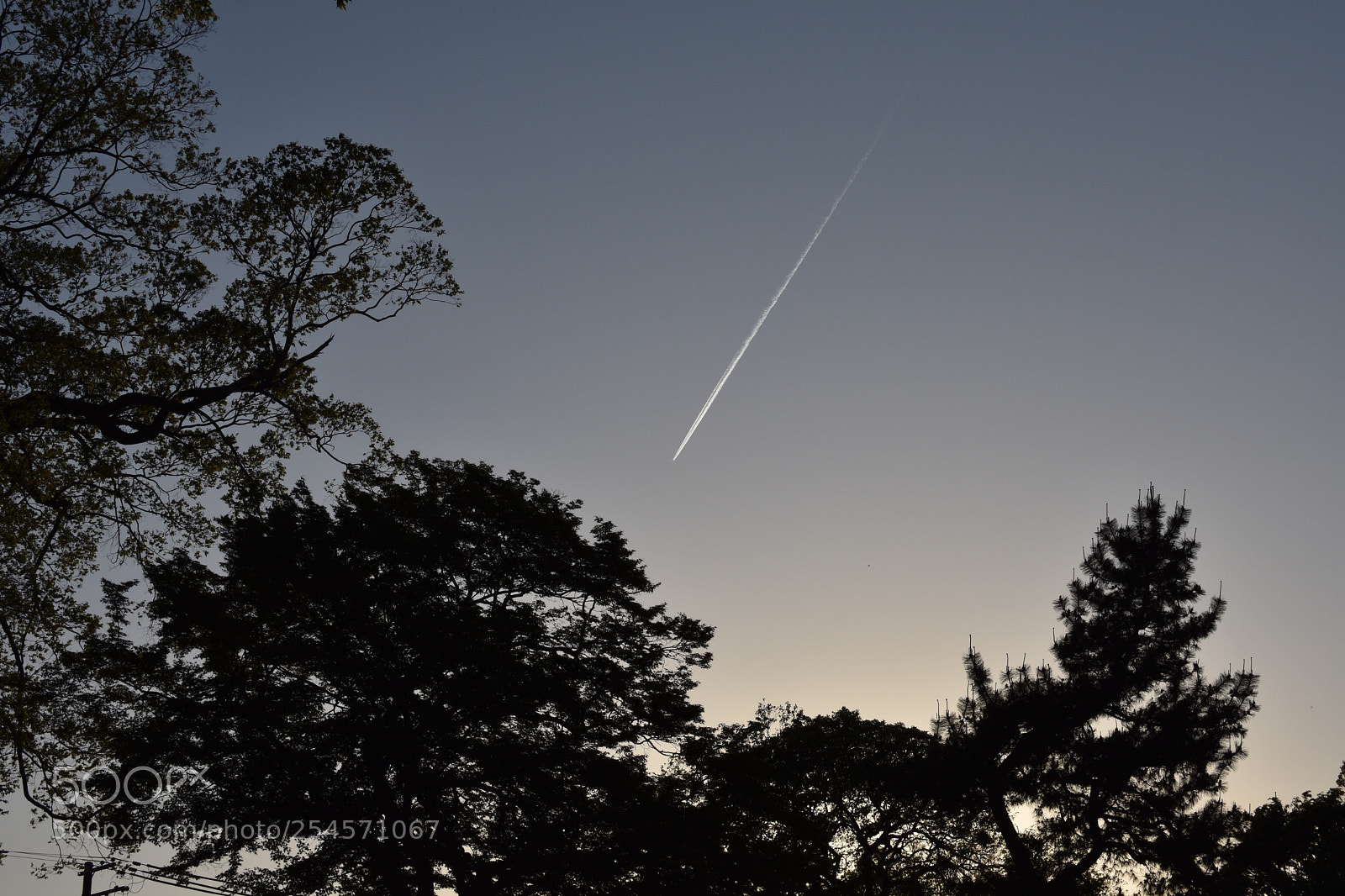 Nikon D3400 sample photo. Untitled photography