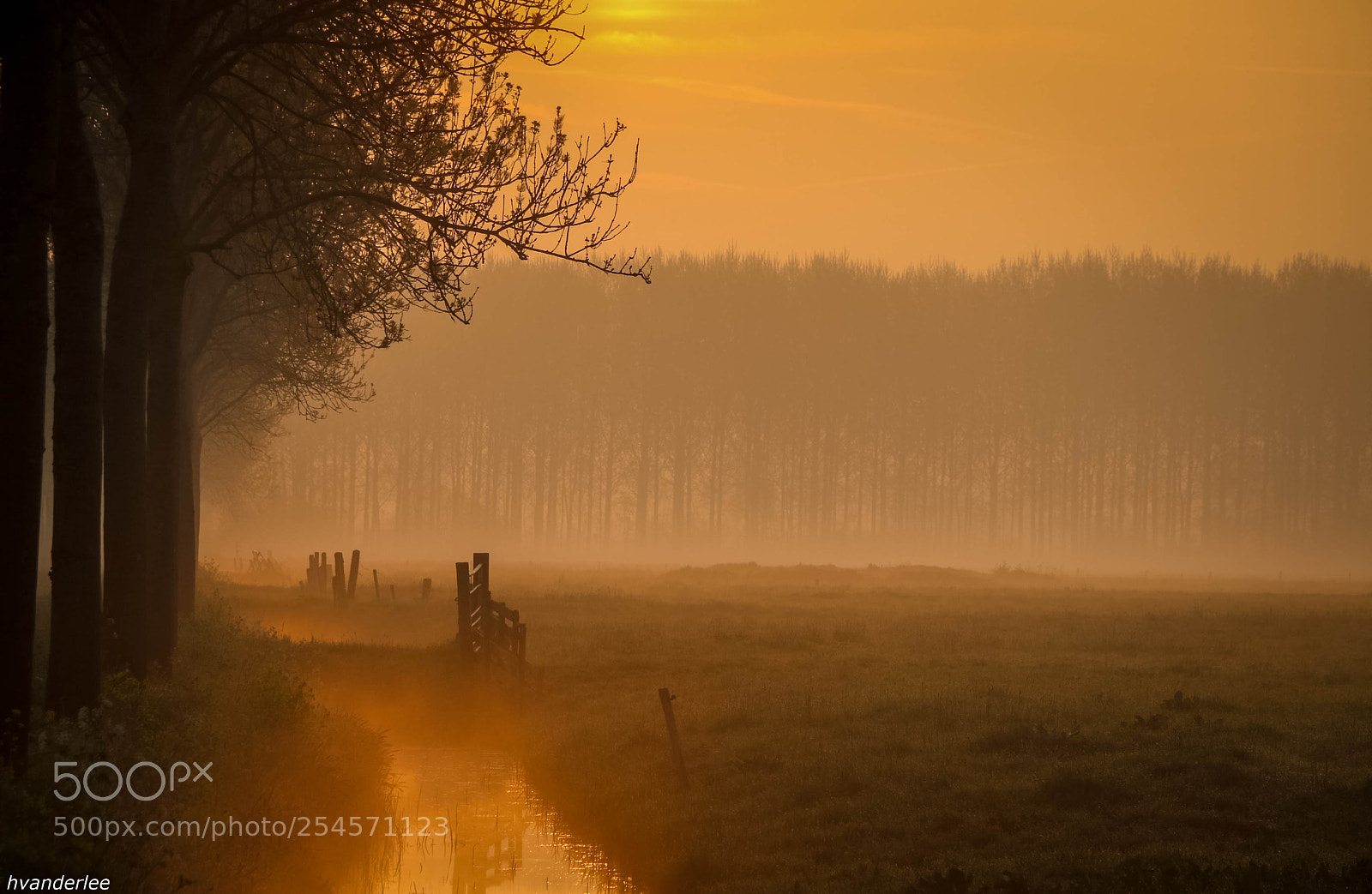 Canon EOS 70D sample photo. Fog above the fields photography