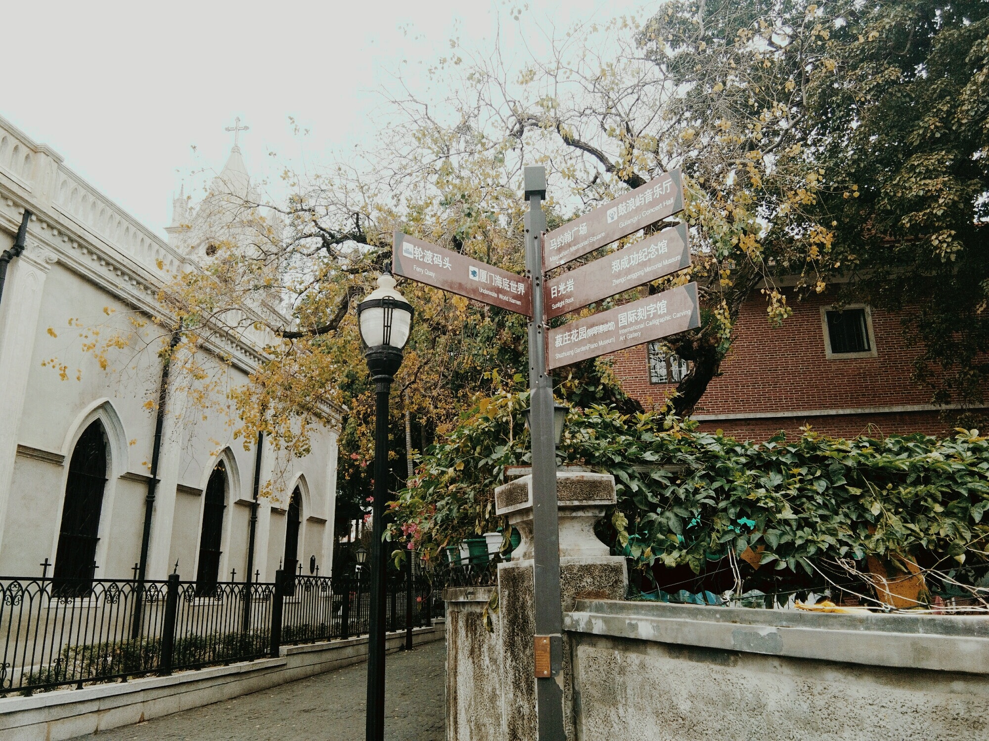 vivo Y66L sample photo