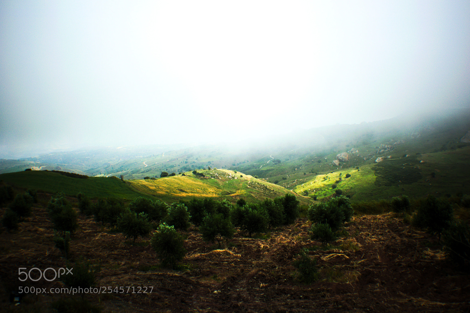 Nikon D5300 sample photo. Land photography