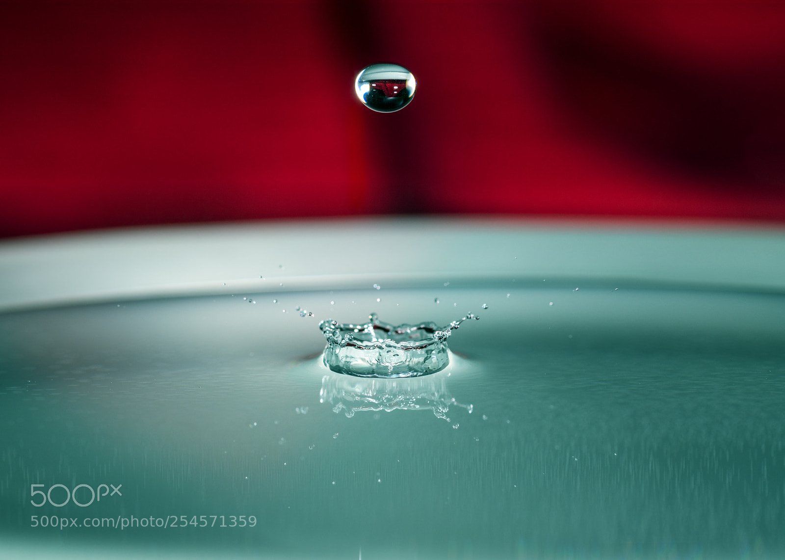 Nikon D850 sample photo. Water droplets photography