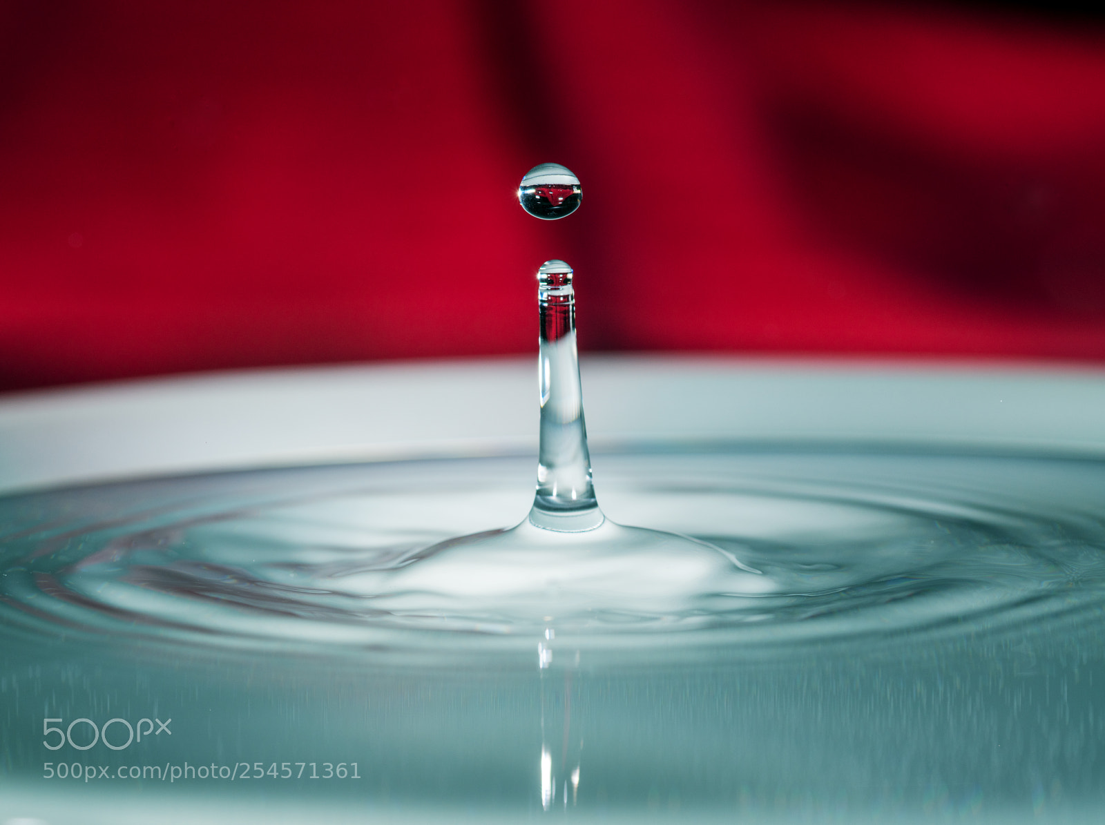 Nikon D850 sample photo. Water droplets photography
