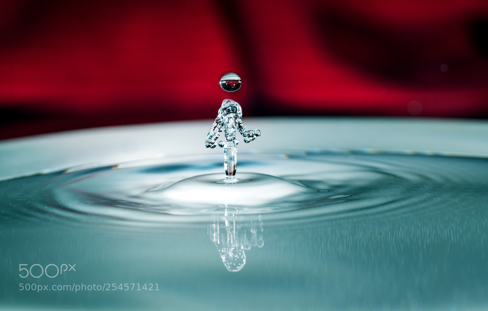 Nikon D850 sample photo. Water droplets photography