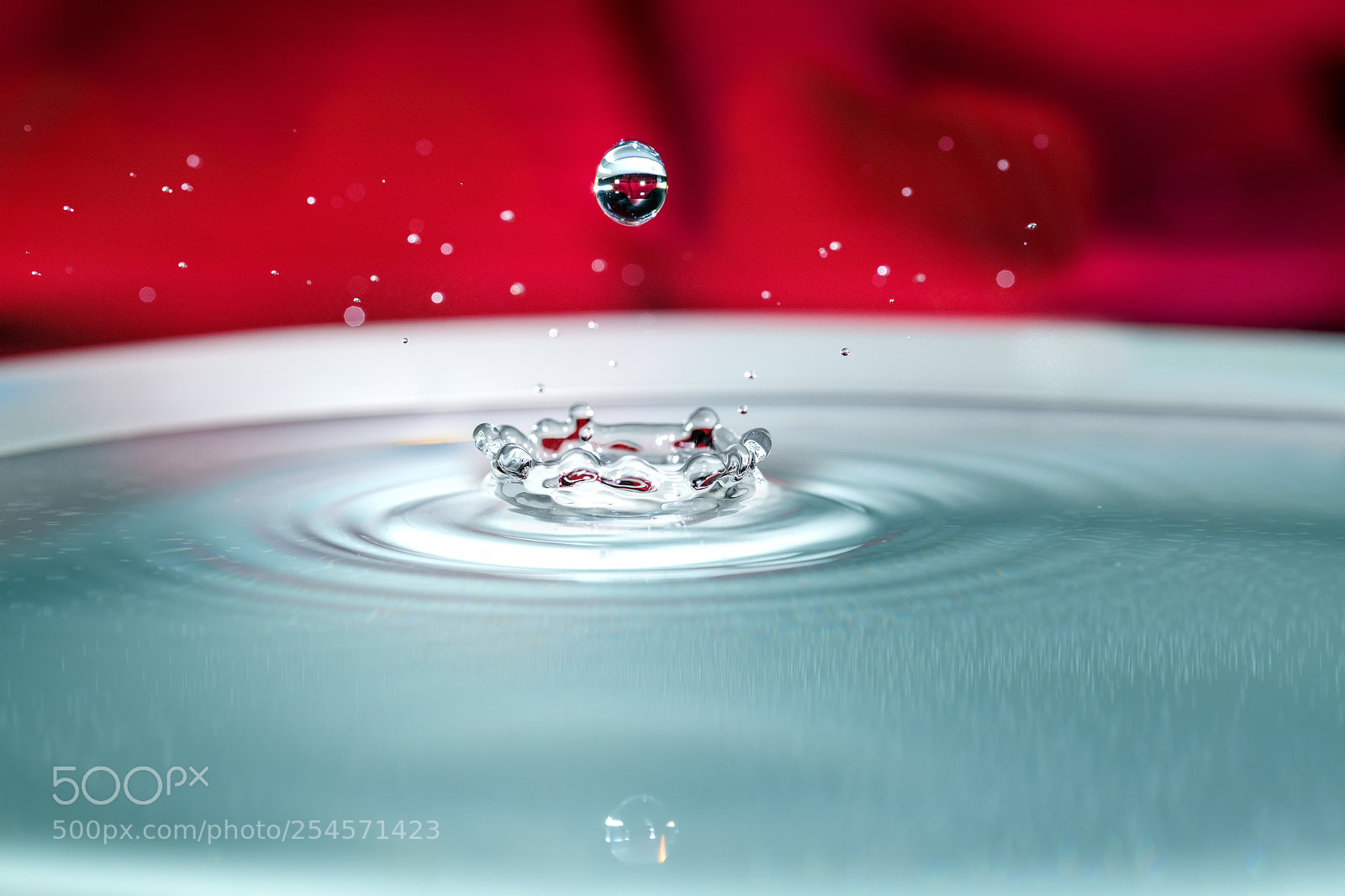 Nikon D850 sample photo. Water droplets photography