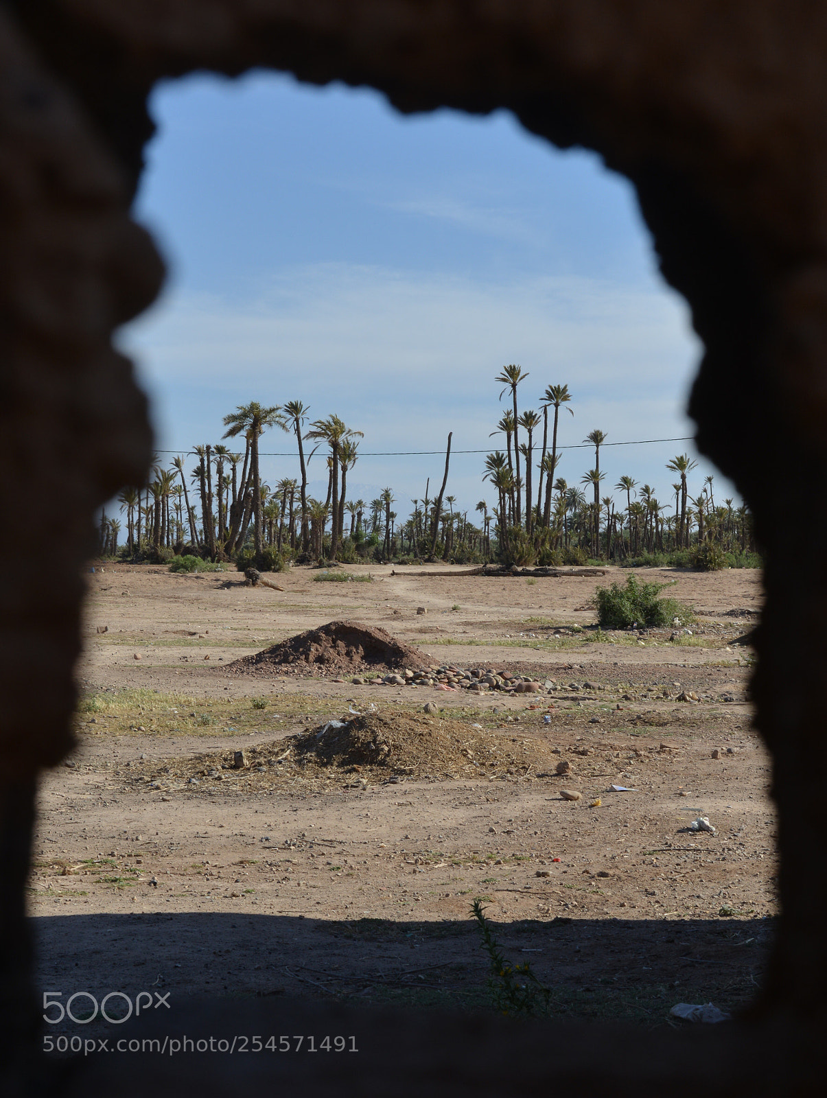 Nikon D800 sample photo. Maroc: la palmeraie photography