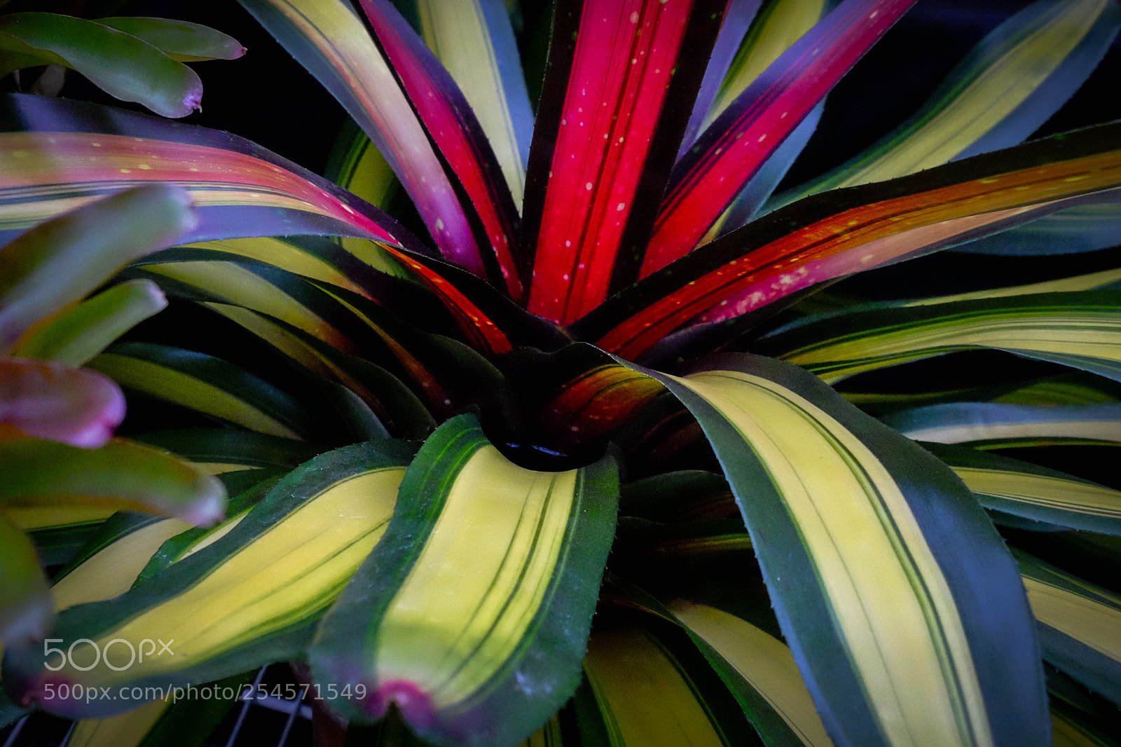 Fujifilm X-T10 sample photo. 2018 - jim timko photography