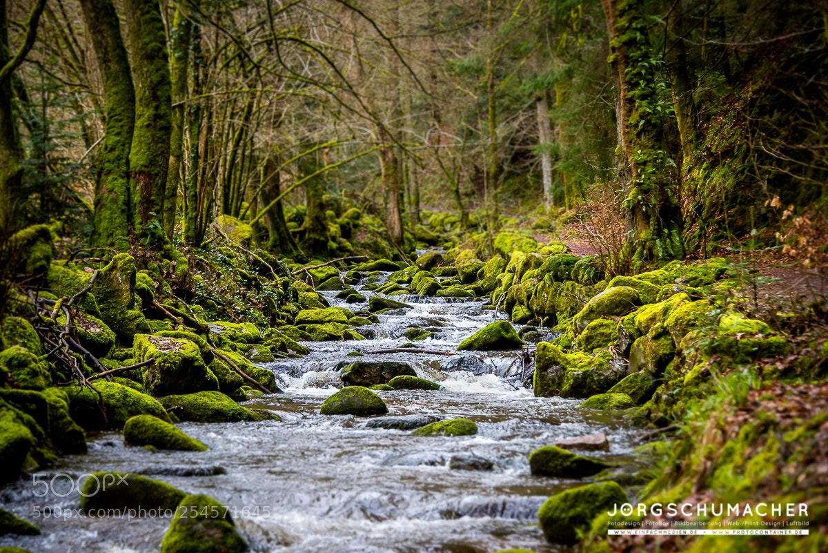 Nikon D800 sample photo. Geroldsauer wasserfälle photography