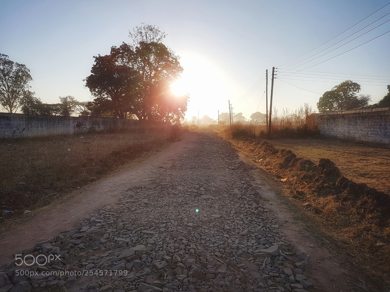 Samsung Galaxy S7 Edge sample photo. Untitled photography