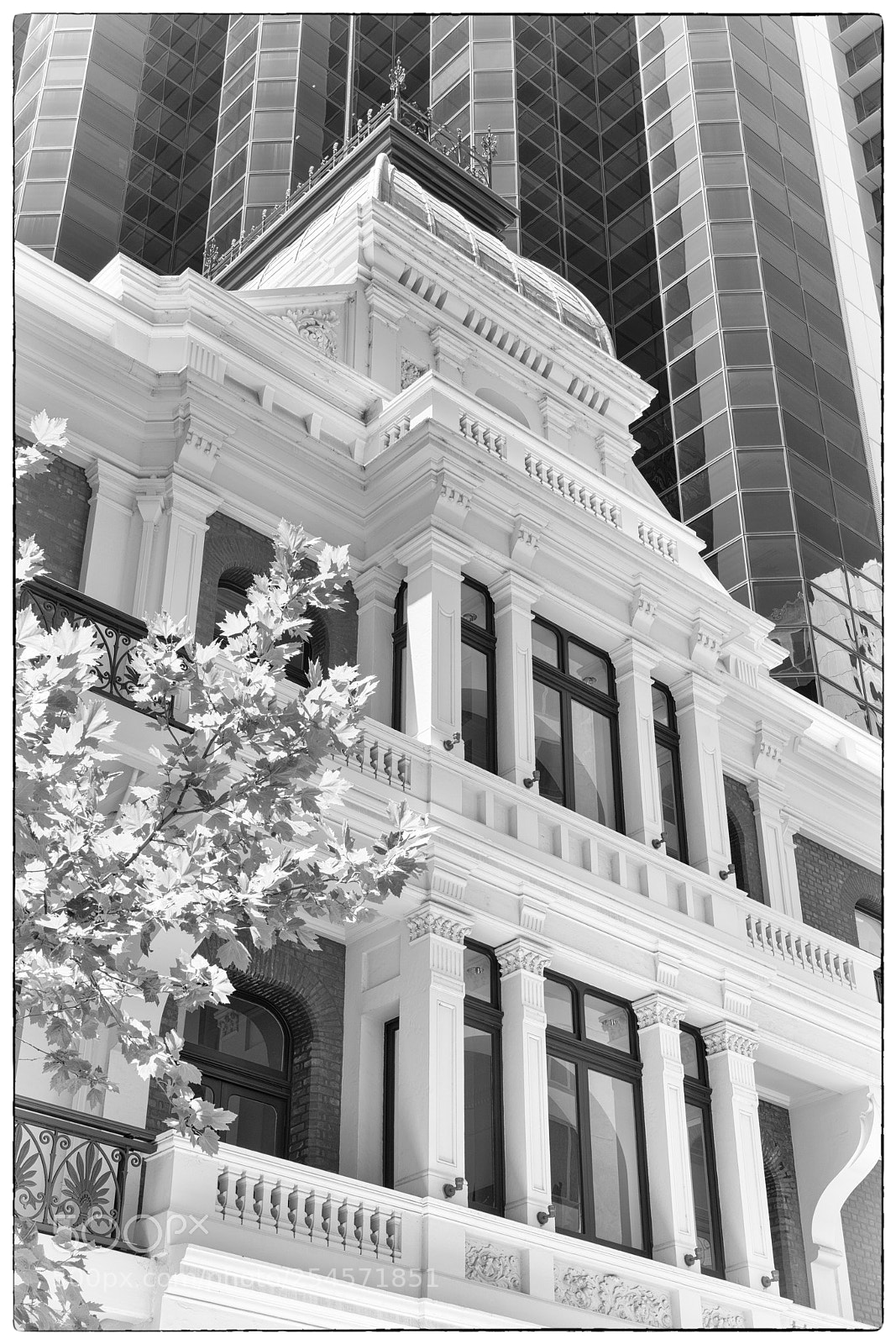 Sony a7R II sample photo. Contrasts, perth, australia photography