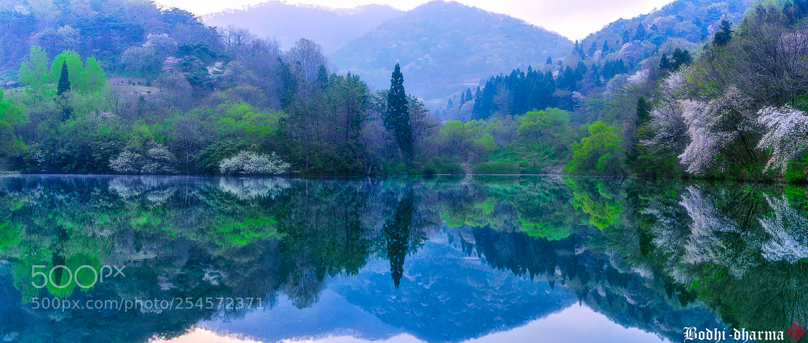 Sony a9 sample photo. 세량지 photography
